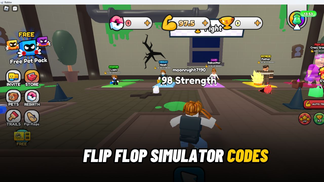 Flip Flop Simulator Codes