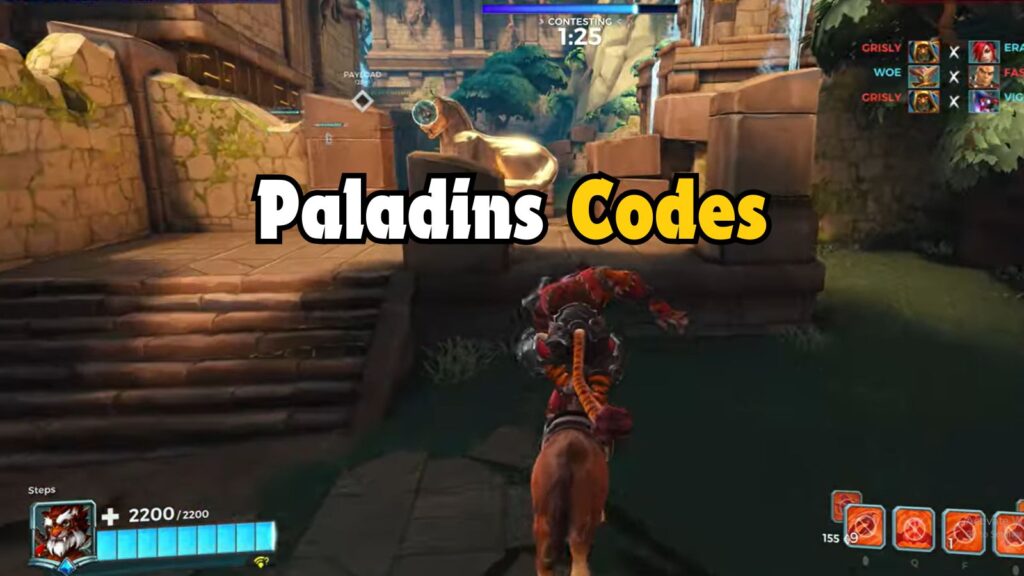 Paladins code 